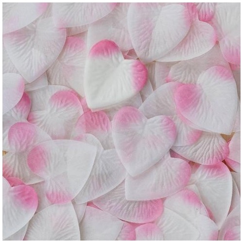 Pétales coeur roses x 100