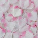 Pétales coeur roses x 100