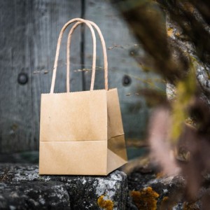 Sac cadeau kraft par 6