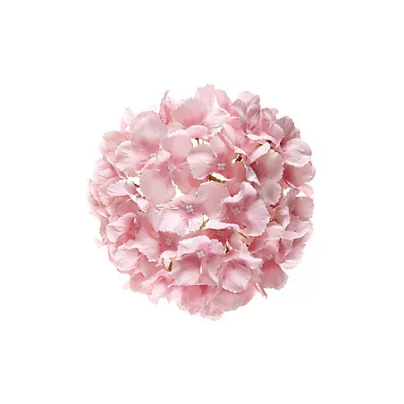 Hortensia rose poudré