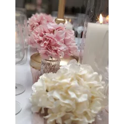 Hortensia rose poudré