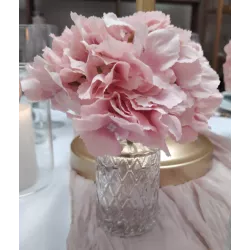 Hortensia rose poudré