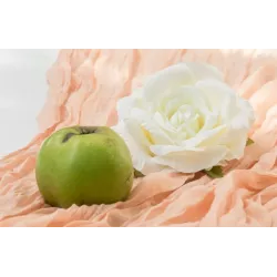 Chemin de table gaze pèche