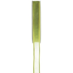 Ruban organdi bord satin vert