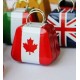 Boite à dragées valise Canada